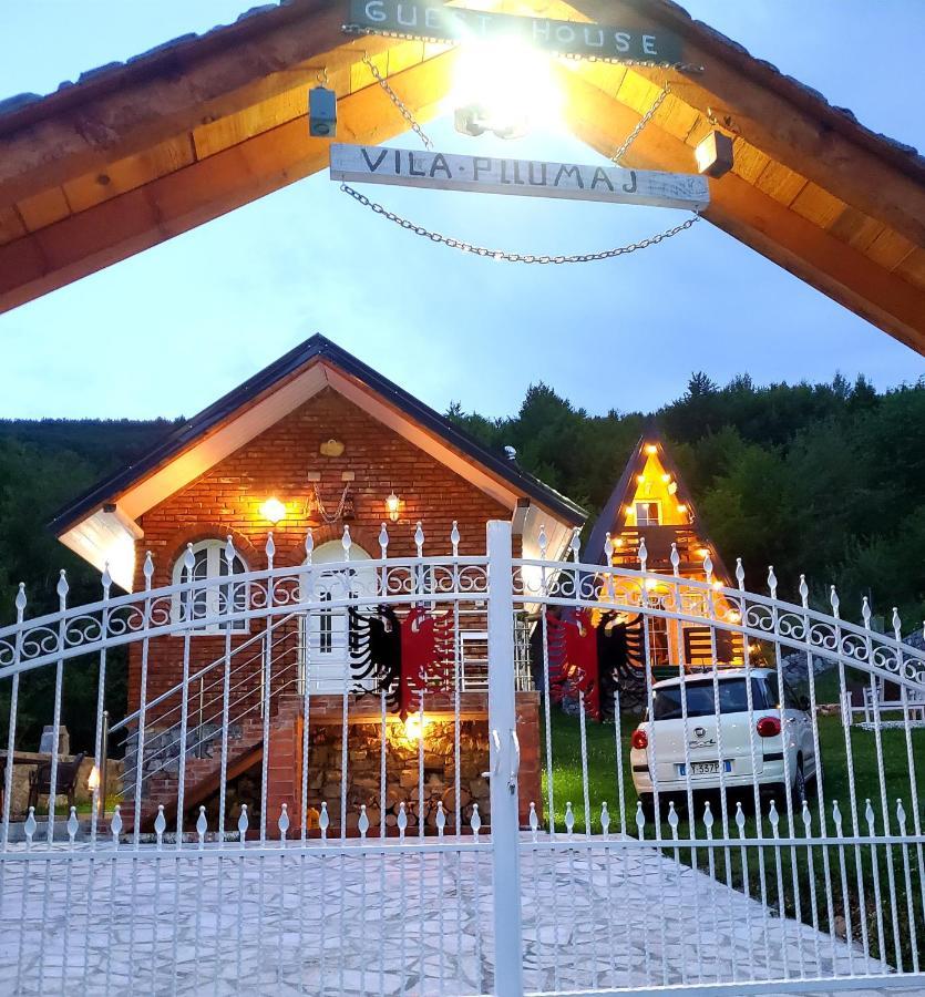 Vilat Pllumaj *