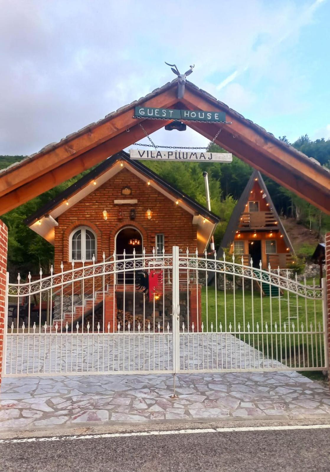 Vilat Pllumaj *