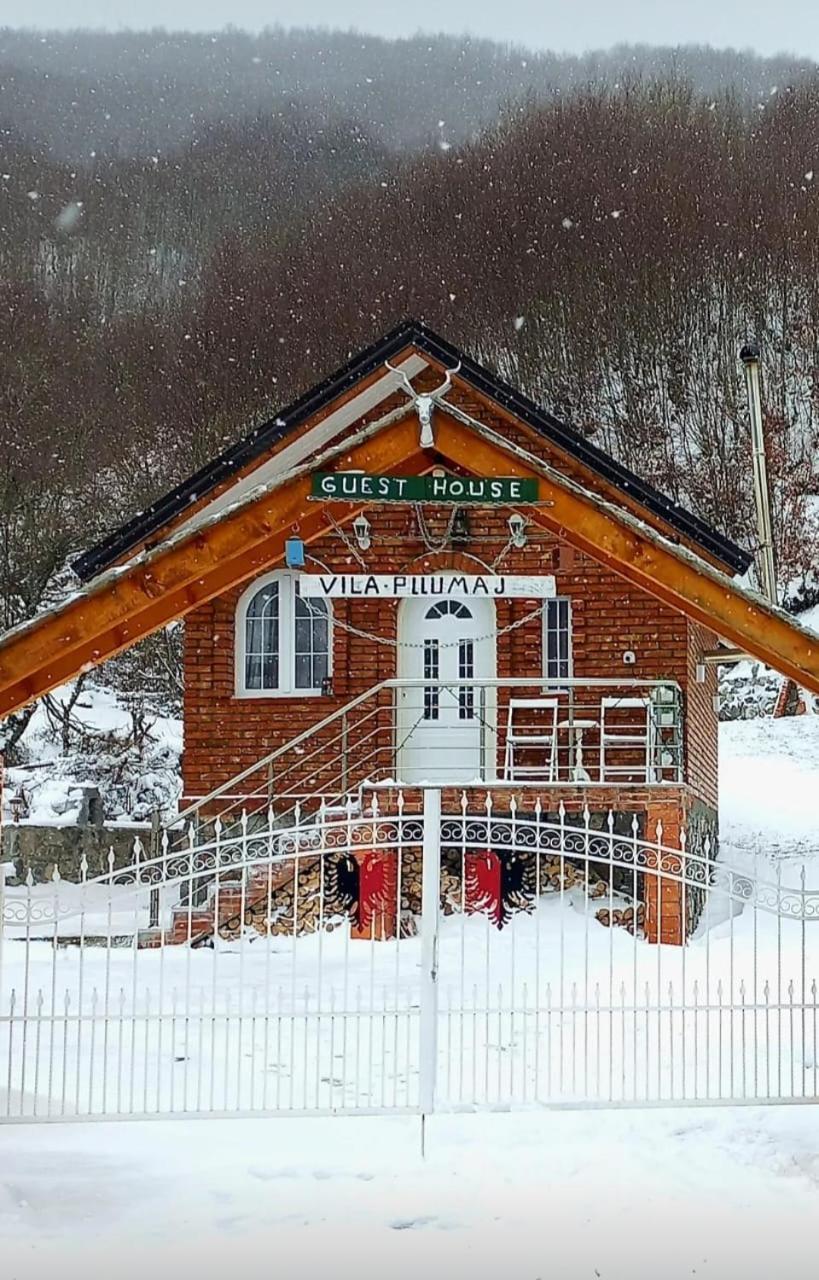 Lodge Vilat Pllumaj Gropat e Selces