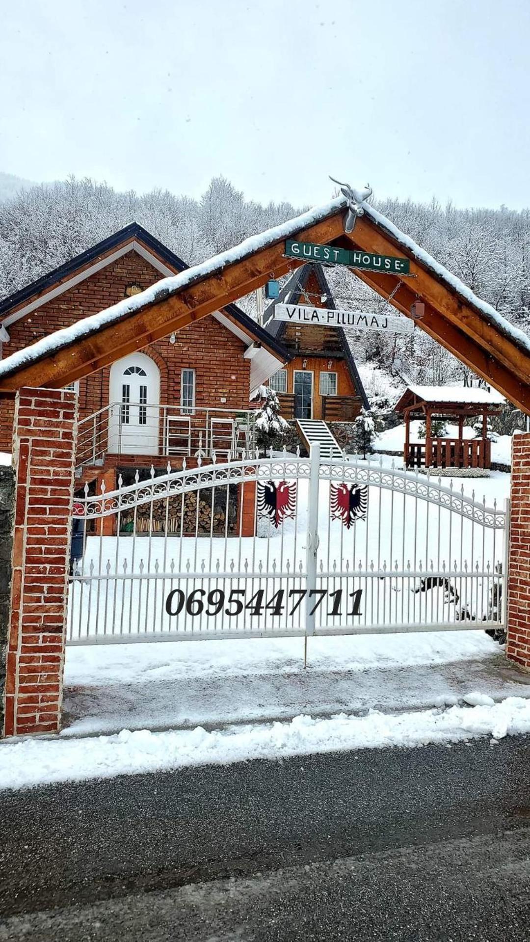 Vilat Pllumaj